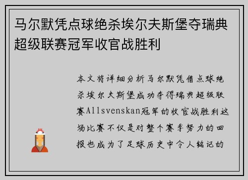 马尔默凭点球绝杀埃尔夫斯堡夺瑞典超级联赛冠军收官战胜利